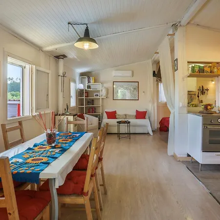 The Sunset Hill With Private Swimming Pool And A/c Camaiore