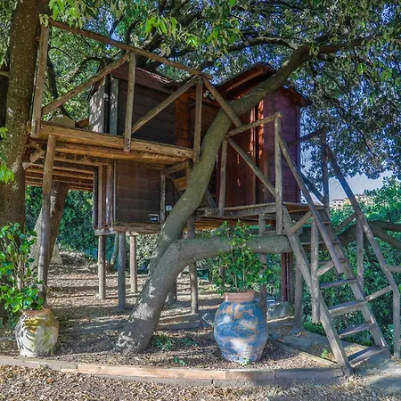 The Sunset Hill With Private Swimming Pool And A/c